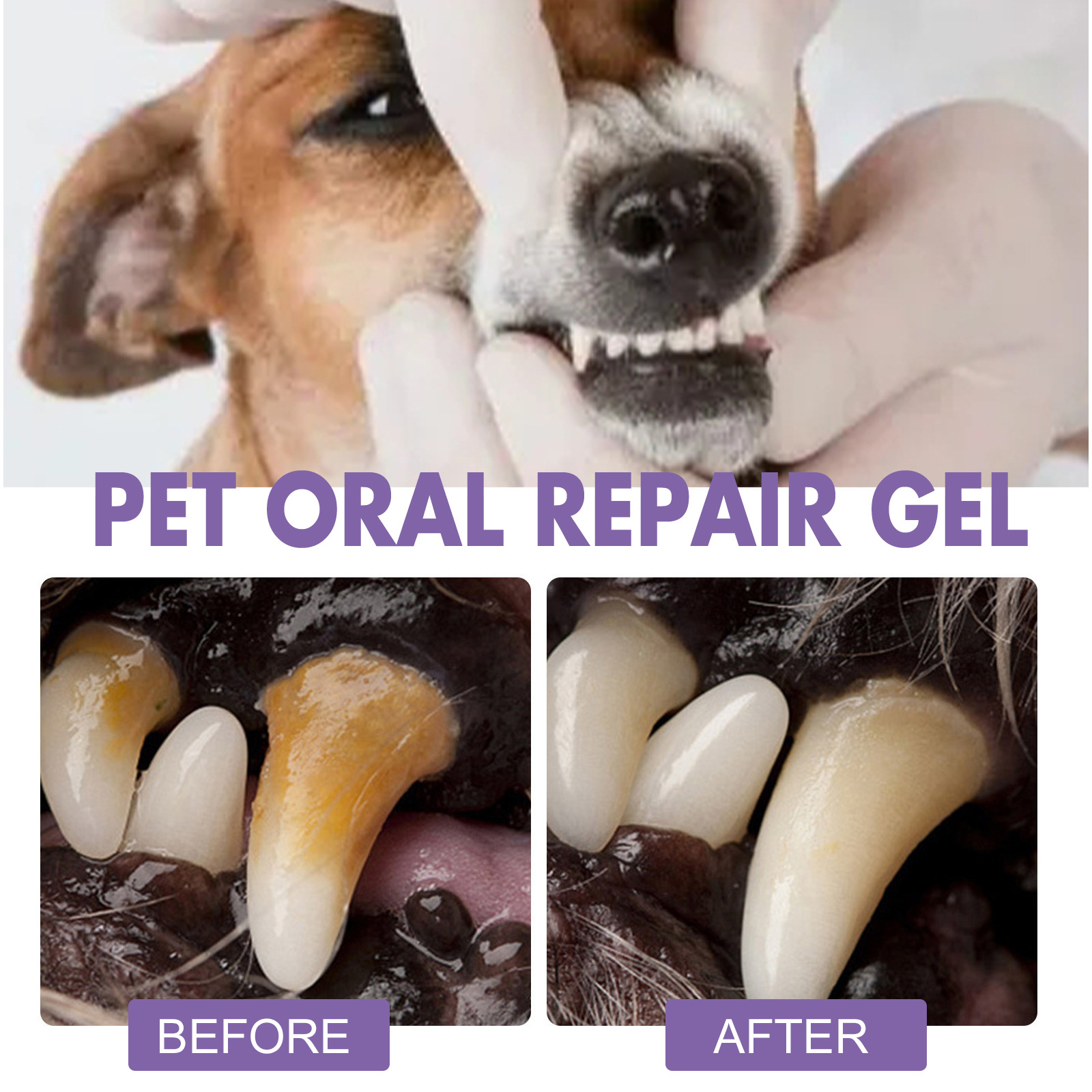 Pet Oral Repair Gel Puppy Tart - Teeth Whitening Doctor review and price